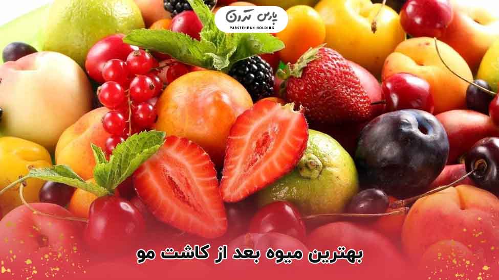 بهترین میوه بعد از کاشت مو