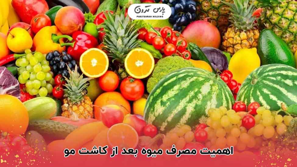 اهمیت مصرف میوه بعد از کاشت مو