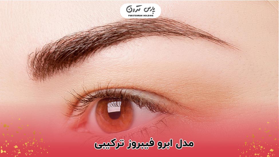 Combined Fibrosis Eyebrow Model مدل ابرو فیبروز ترکیبی
