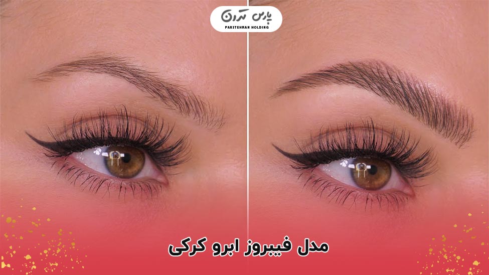 Fluffy fibrosis model مدل فیبروز کرکی