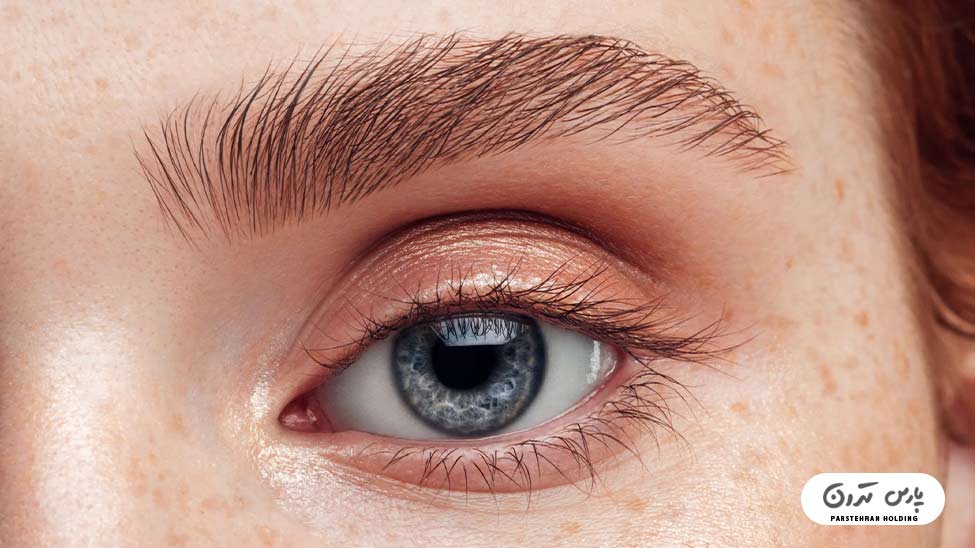 Types of eyebrow fibrosis models12 فیبروز ابرو سبک نانو استروک