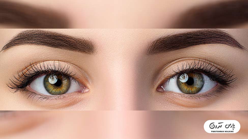 Types of eyebrow fibrosis models2 جدیدترین فیبروز ابرو دخترانه 2025