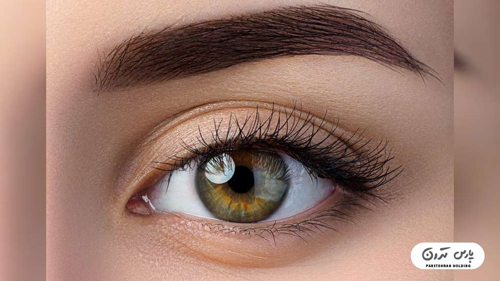 Types of eyebrow fibrosis models3 فیبروز ابرو با فرم کلاسیک و طبیعی