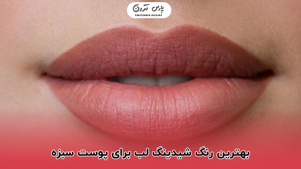 The best lip shade for brown skin بهترین رنگ شیدینگ لب برای پوست سبزه