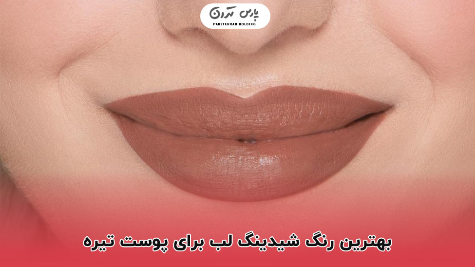 The best lip shade for dark skin بهترین رنگ شیدینگ لب برای پوست تیره