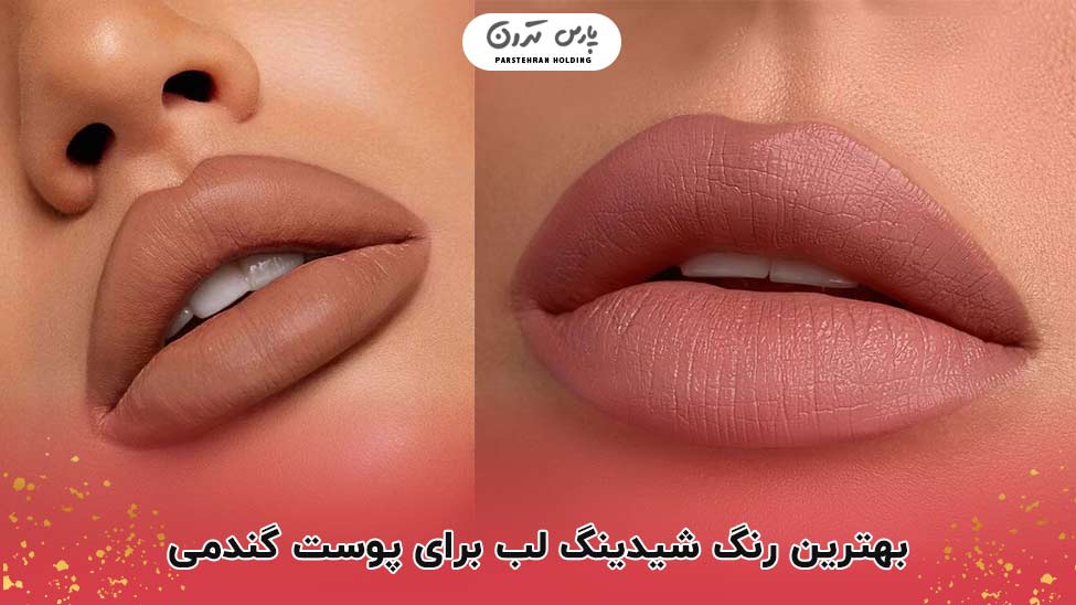 The best lip shade for wheatish skin بهترین رنگ شیدینگ لب برای پوست گندمی