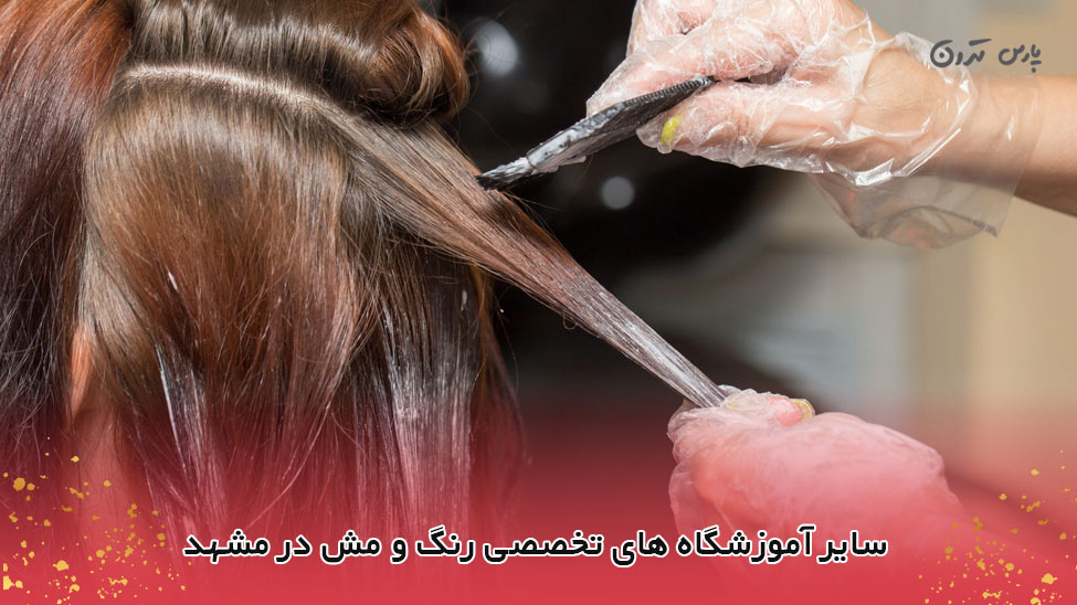 other academies ofhair colorandmesh سایر آموزشگاههای تخصص رنگ مو در مشهد