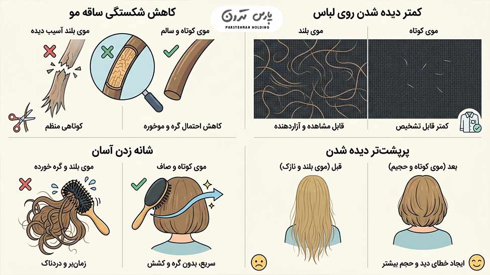 Why does hair loss seem to be less after a haircut چرا بعد از کوتاهی مو، موها پرپشت دیده میشوند