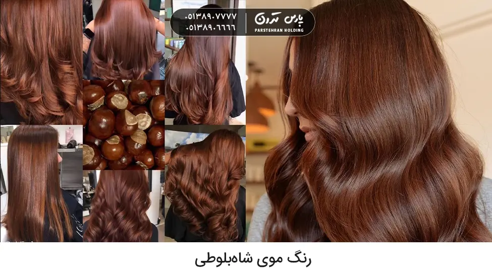 Chestnut hair color رنگ موی شاهبلوطی