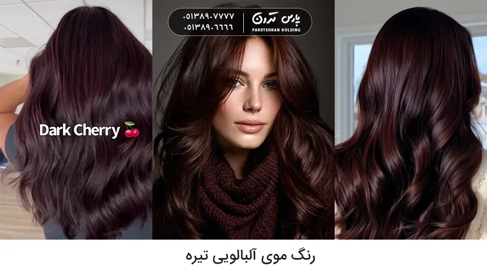 Dark cherry hair color رنگ موی آلبالویی تیره رنگ مو لاکچری