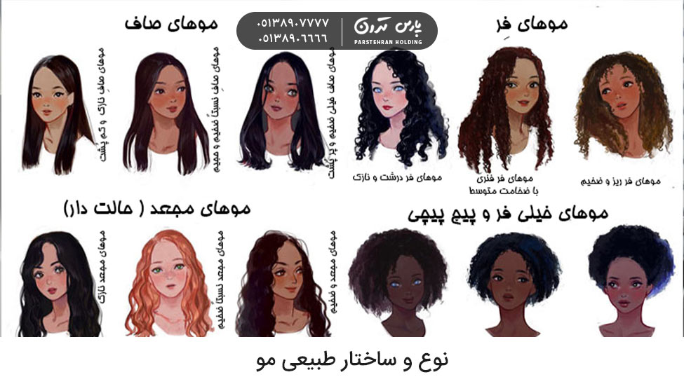 Natural hair type and structure علت موج دار شدن مو بعد از کراتینه چیست و ساختار طبیعی مو چه تاثیری دارد