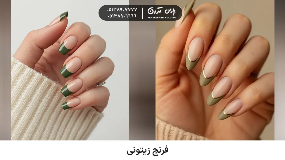 Olive French فرنچ زیتونی