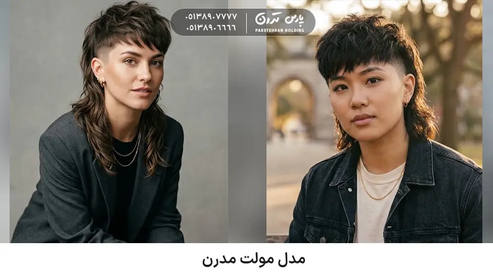 Modern moult model for thick and fluffy hair مدل مولت مدرن برای موهای پرپشت و وز