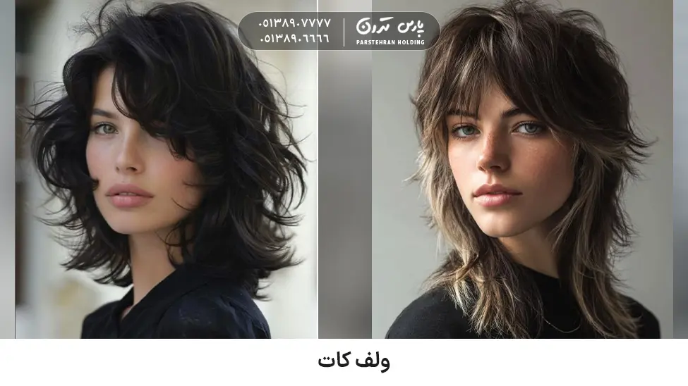 Wolf cut for thick and fluffy hair ولف کات برای موهای پرپشت و وز